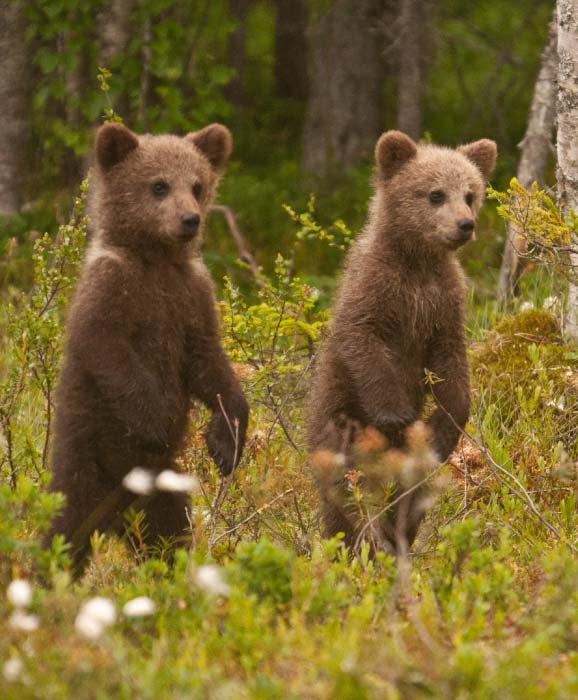 best-sustainable-experiences-in-europe