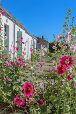 Rochefort Ocean - Sustainable tourism in Europe - European Best Destinations Copyright Julie Paulet