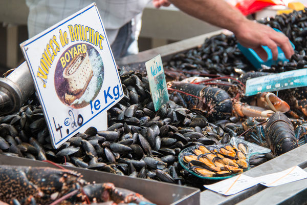 Rochefort Ocean - Sustainable tourism in Europe - European Best Destinations Copyright Julie Paulet