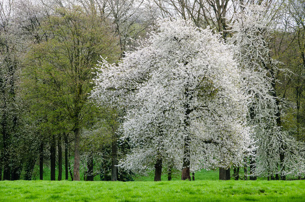 Silly - European Destinations of Excellence - European Best Destinations - Copyright Silly Tourisme