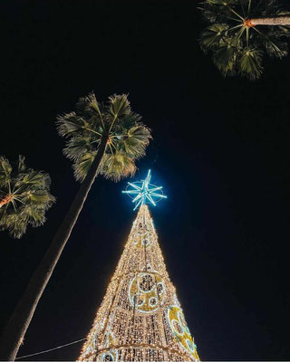 Marbella Christmas Market - Best Christmas Markets in Europe
