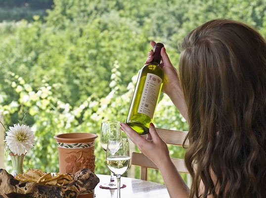 Sveti Martin Na Muri - EDEN - European Best Destinations