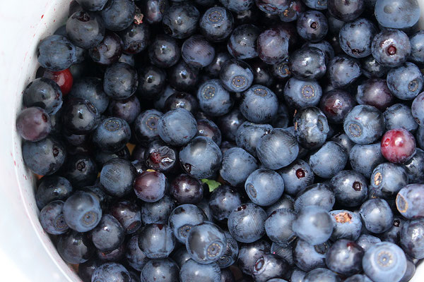 Soomaa National Park - European Destinations of Excellence - European Best Destinations - Copyright Soomaa.com