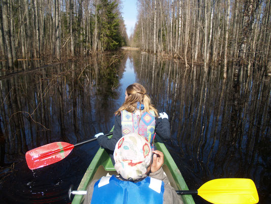Soomaa National Park - European Destinations of Excellence - European Best Destinations - Copyright Soomaa.com