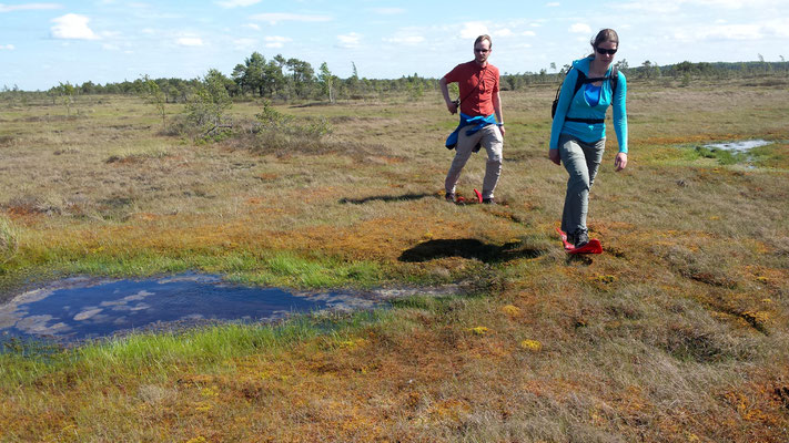 Soomaa National Park - European Destinations of Excellence - European Best Destinations - Copyright Soomaa.com