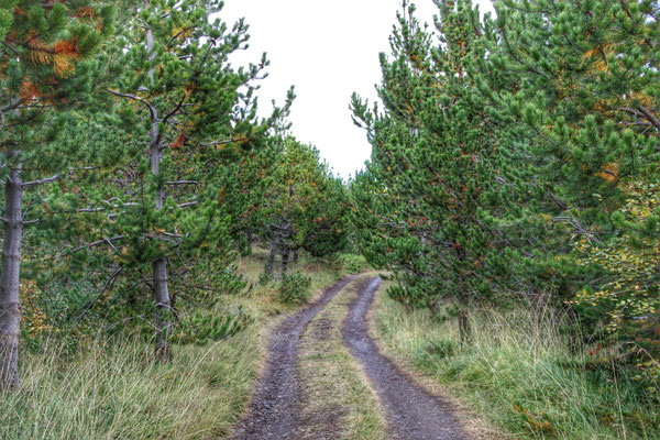 Skagafjordur - European Destinations of Excellence - European Best Destinations