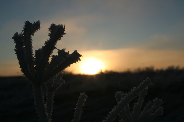 Skaftárhreppur - European Destinations of Excellence - European Best Destinations - Copyright Visitklaustur.is