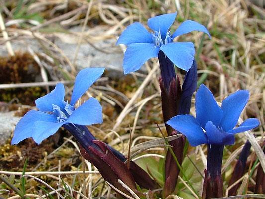 The Burren - European destinations of Excellence - European Best Destinations Copyright Burren Geopark