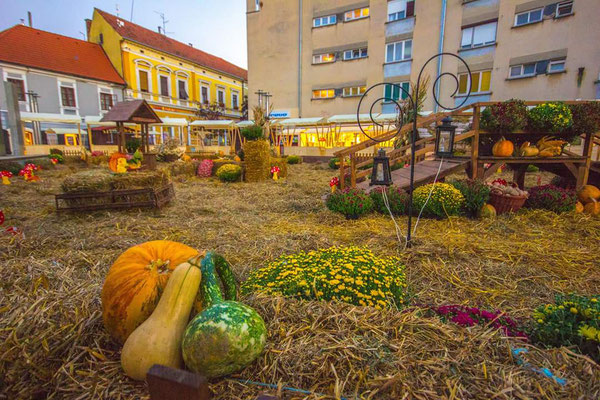 Upper Medimurje Region - Sustainable tourism in Europe - European Best Destinations