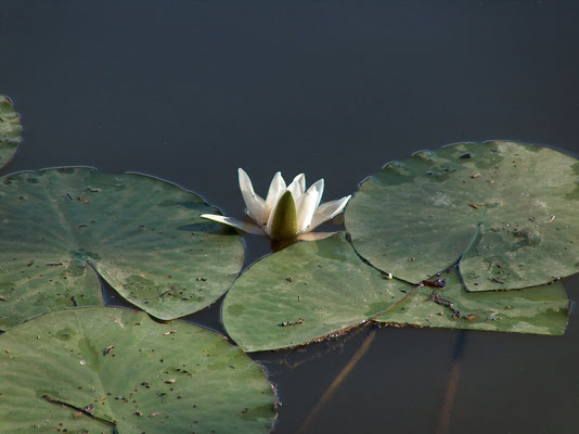 Trakoscan Castle - sustainable tourism in Europe - Sustainable destinations in Croatia - EDEN - European Best Destinations