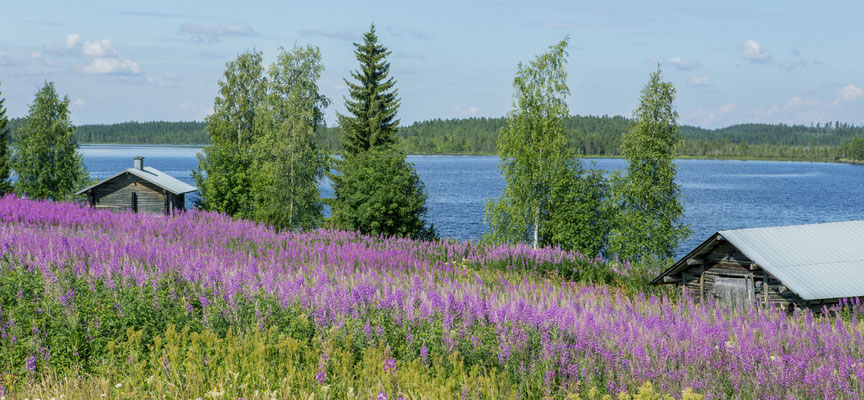 Wild Taiga - European Destinations of Excellence - European Best Destinations