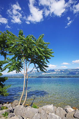 Aix-les-Bains - European Best Destinations - Copyright OT Aix les Bains