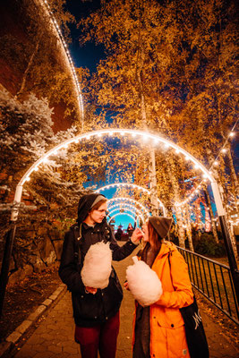 Best Christmas Markets in Europe - Helsinki Christmas Markets copyright Jussi Hellsten Visit Helsink