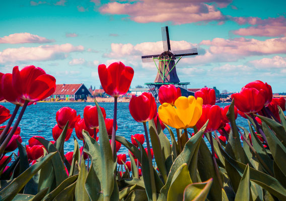 Amsterdam European Best Destinations - Copyright Andrew Mayovskyy
