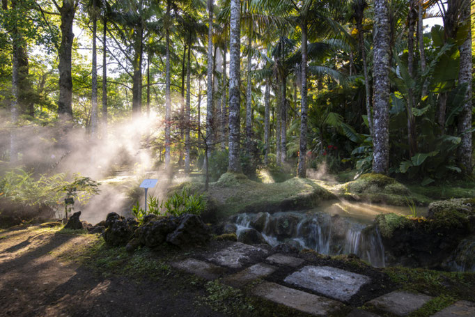 Azores - Sao Miguel copyright Martin Kaufmann