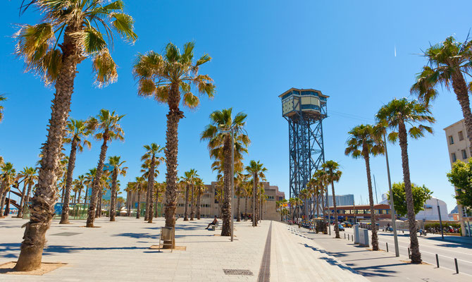 Barcelona beach - Copyright eregalsv - Fotolia