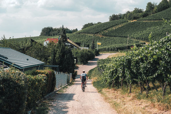 Basel - Best Destinations to visit in Europe - Copyright This is Basel