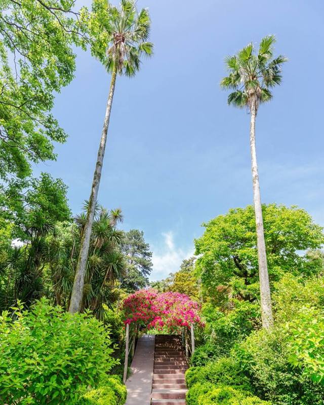 Batumi - Ajara Region - Georgia - European Best Destinations Copyright Visit Batumi