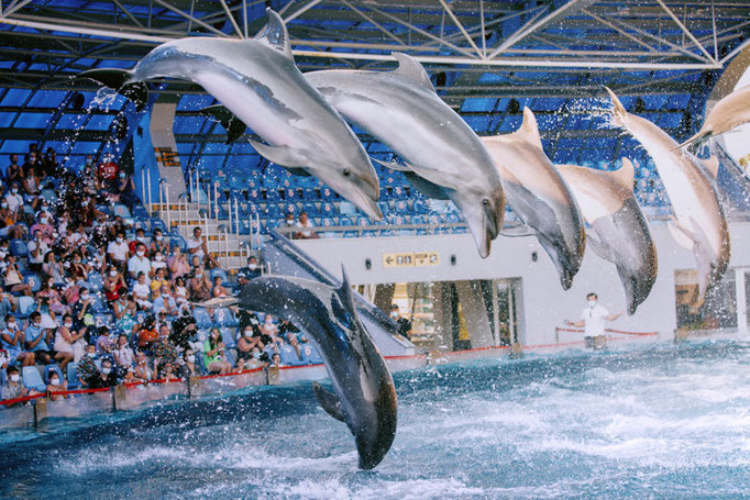 Batumi - Ajara Region - Georgia - European Best Destinations Copyright Visit Batumi