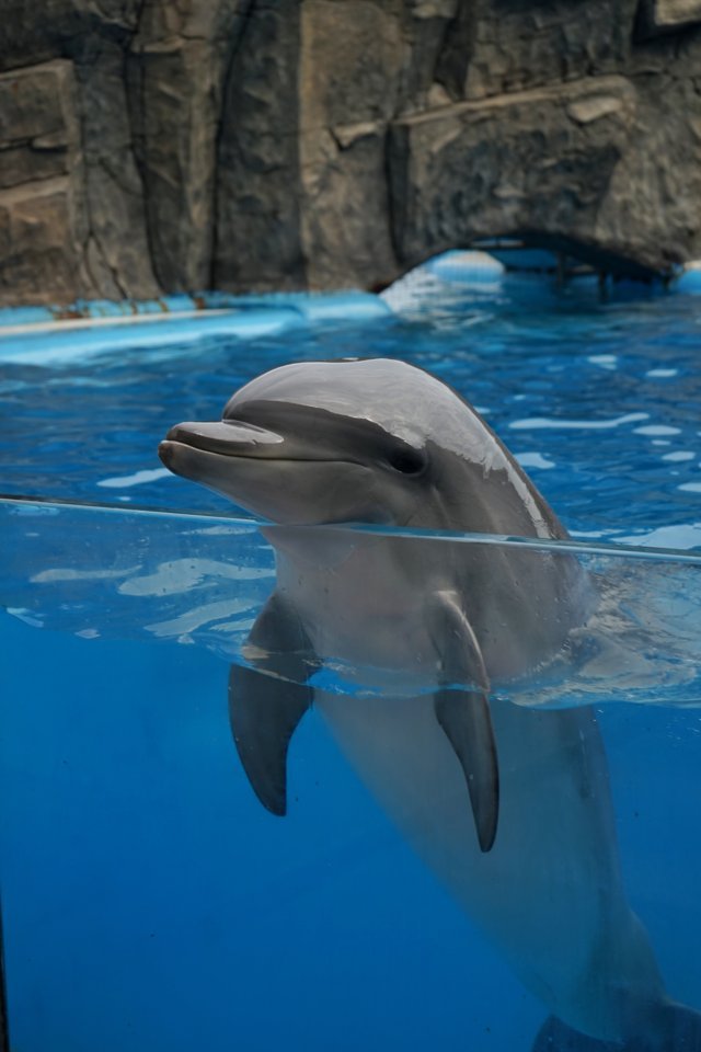 Batumi - Ajara Region - Georgia - European Best Destinations Copyright Visit Batumi