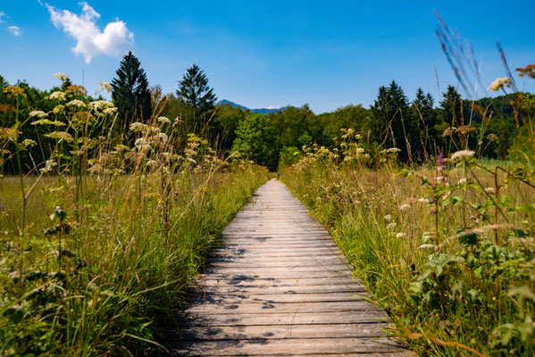 Bavaria - European  Best Destinations Copyright  Full Frame Factory