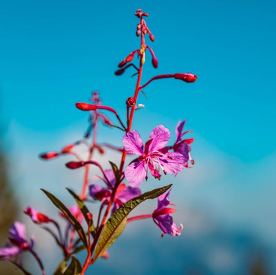 Bavaria - European  Best Destinations Copyright Martin Erdniss
