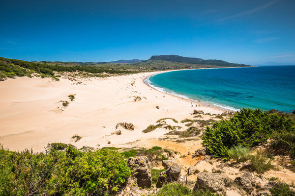 Sand dune of Bolonia beach, province Cadiz, Andalucia, Spain Copyright Lukasz Janyst
