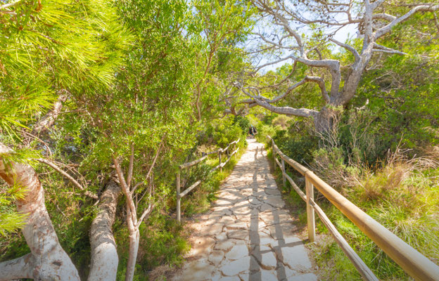 Calpe European Best Destinations - Best Destinations to visit in Spain - Ifach rock natural reserve hiking copyright BAHDANOVICH ALENA