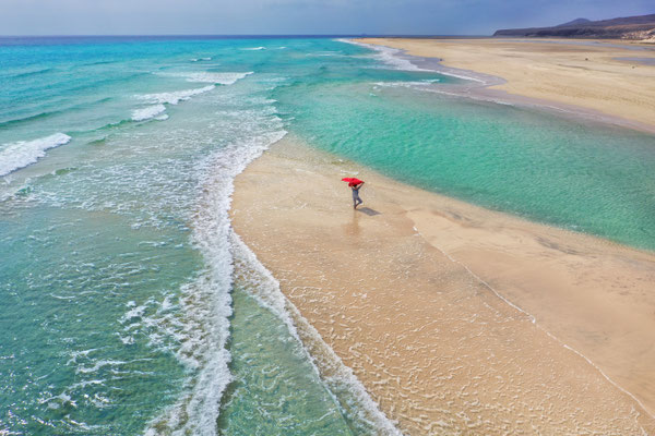 Fuerteventura copyright  Jenny Sturm