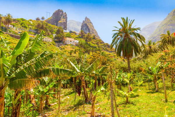 Gomera Island copyright Mark Pitt Images