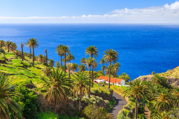 La Gomera Island copyright  Pawel Kazmierczak