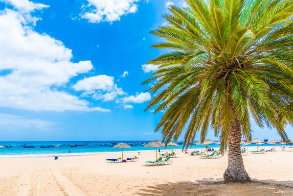 Las teresitas Tenerife copyright Balate Dorin