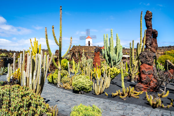 Guatiza village in Lanzarote copyright Olena Tur