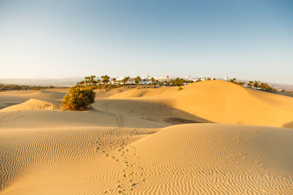 Maspalomas copyright Rimgaudas Budrys