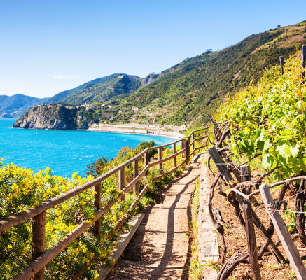 Cinque Terre - European Best Destinations - Vineyards of Cinque Terre - Copyright Olga Gavrilova