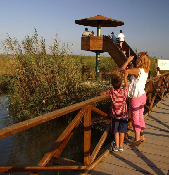 ELBRO-DELTA-SPAIN-eden