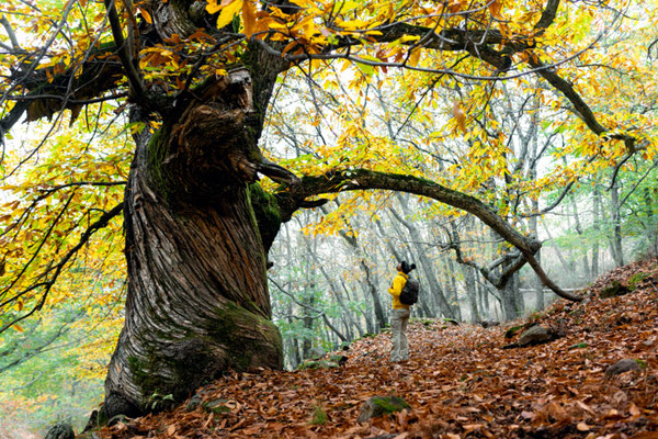 Ambroz Valley - Sustainable tourism in Spain - EDEN - Sustainable tourism in Europe copyright www.ambrozvalley.com