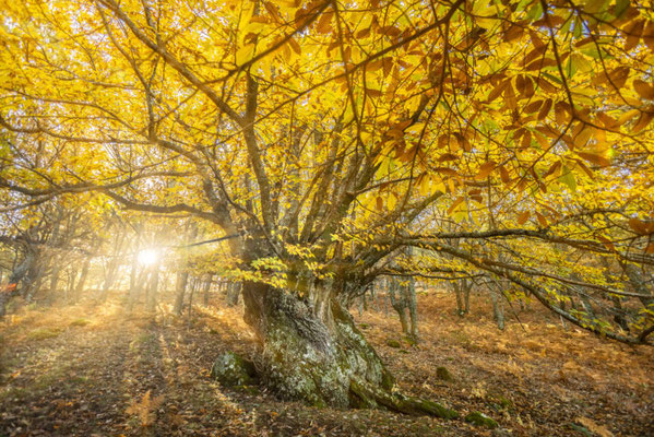 Ambroz Valley - Sustainable tourism in Spain - EDEN - Sustainable tourism in Europe copyright www.ambrozvalley.com