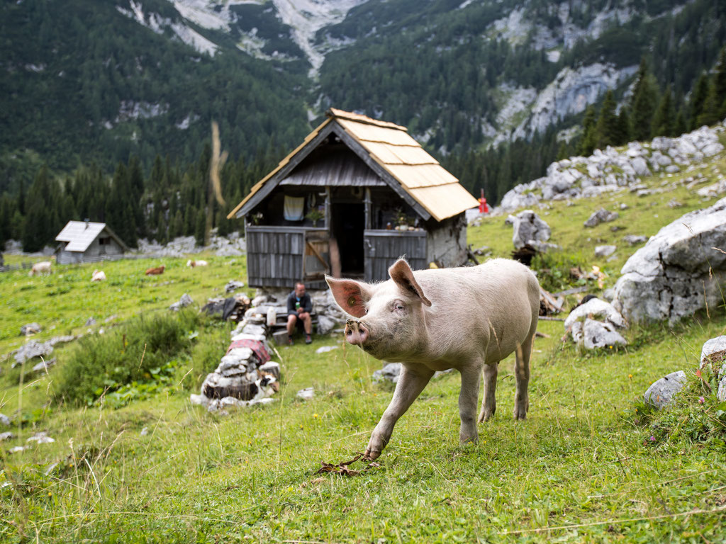 Bohinj - Sustainable tourism in Europe - European Best Destinations Copyhright Bohinj.si