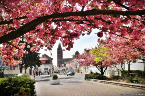 Dakovo - Sustainable tourism in Europe - European Best Destinations  -EDEN