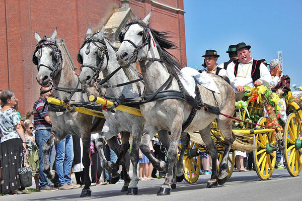 Dakovo - Sustainable tourism in Europe - European Best Destinations  -EDEN