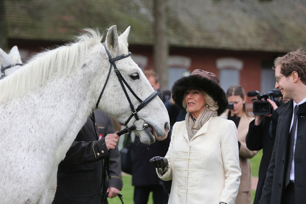 Dakovo - Sustainable tourism in Europe - European Best Destinations  -EDEN