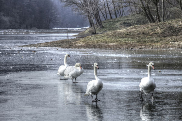 Dakovo - Sustainable tourism in Europe - European Best Destinations  -EDEN