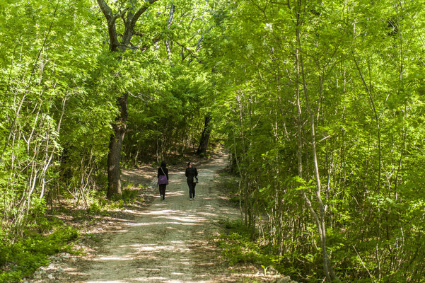 Drnis - European Destinations of Excellence - European Best Destinations