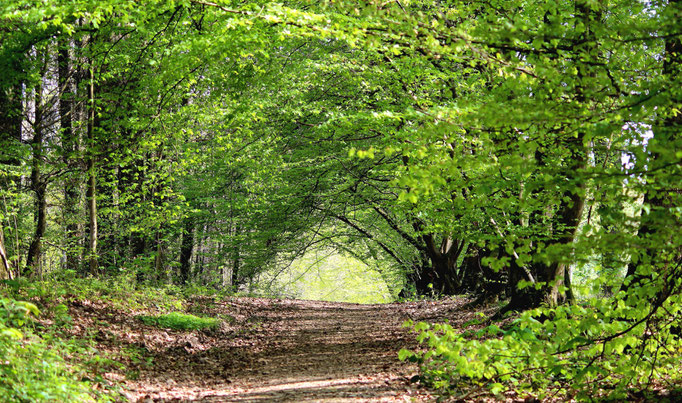 Durbuy - European Destinations of Excellence - European Best Destinations