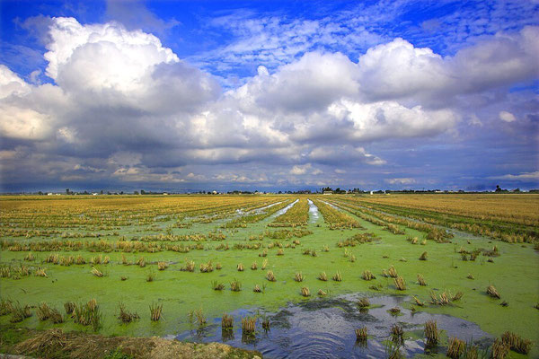 The Elbro Delta National Park - European Destinations of Excellence - European Best Destinations
