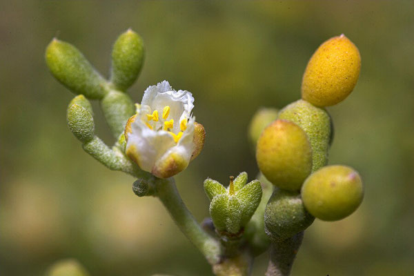 The Elbro Delta National Park - European Destinations of Excellence - European Best Destinations