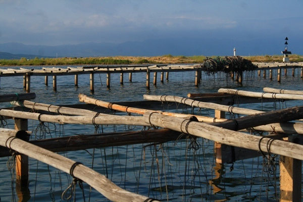 The Elbro Delta National Park - European Destinations of Excellence - European Best Destinations