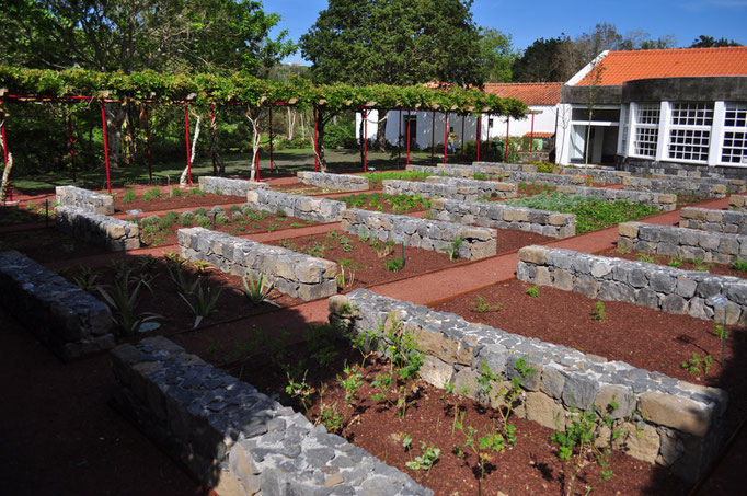 Faial - European Destinations of Excellence - European Best Destinations Copyright Visit Azores