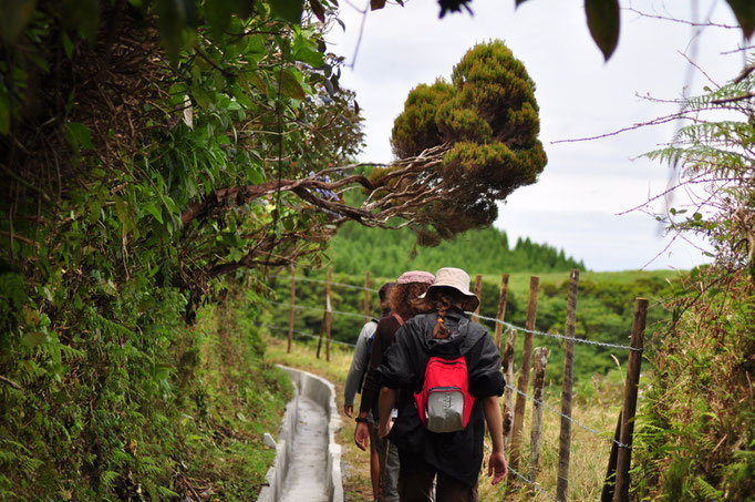 Faial - European Destinations of Excellence - European Best Destinations Copyright Visit Azores